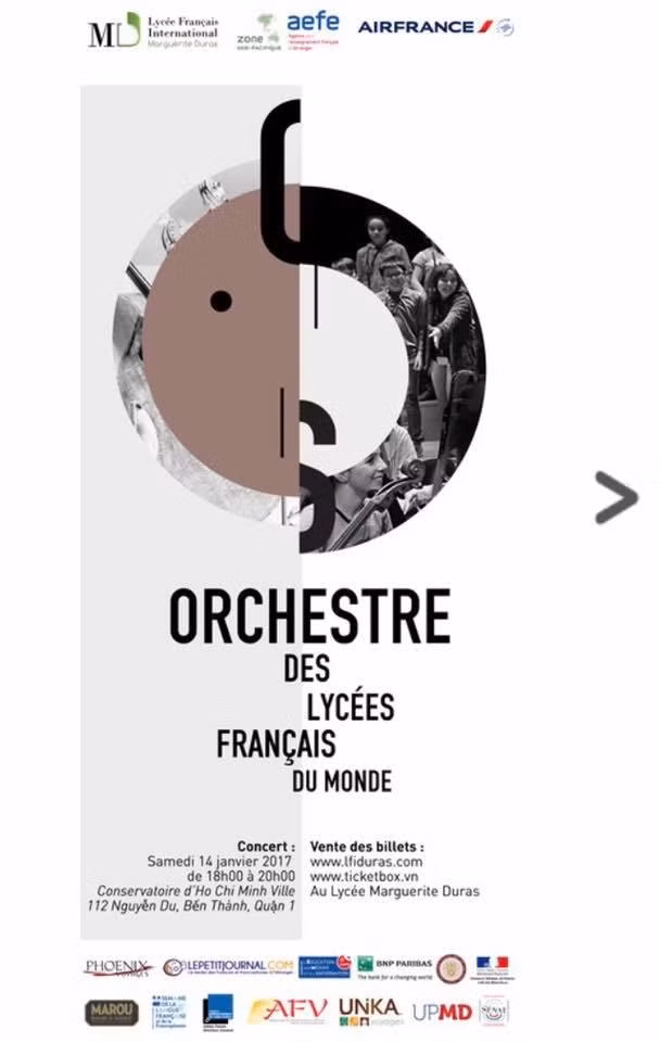 Orchestra of French schools abroad hosts concert ảnh 1