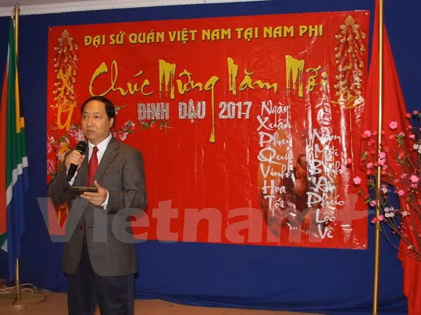 Vietnamese expatriates worldwide celebrate Lunar New Year ảnh 1
