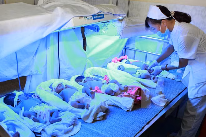 Workshop enhances midwifery services ảnh 1