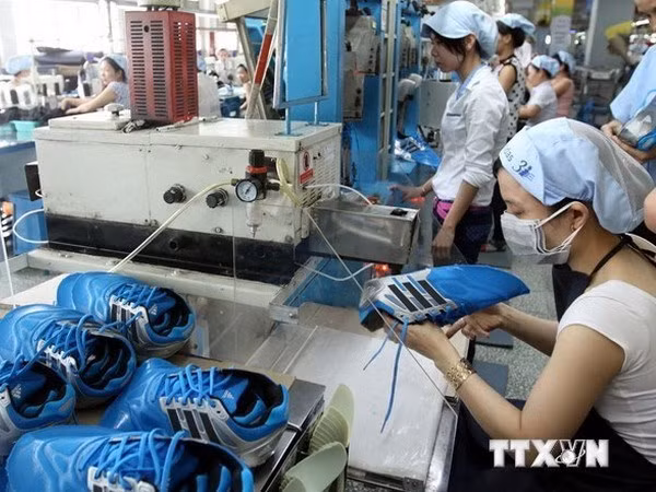 New firms surge in first seven months ảnh 1