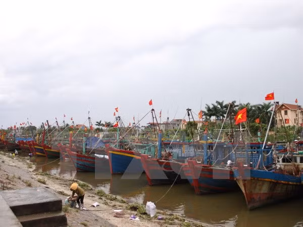 Deputy PM inspects storm prevention in Thai Binh ảnh 1 Deputy PM inspects storm prevention in Thai Binh ảnh 1