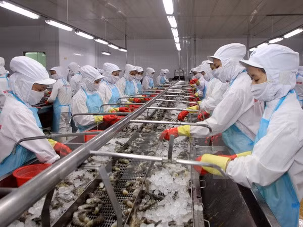 Businesses told how to optimise Vietnam-EAEU FTA ảnh 1