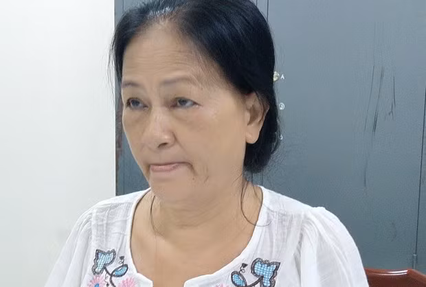 Woman in An Giang prosecuted for anti-State activities ảnh 1