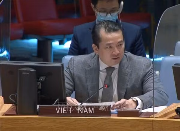 Vietnam condemns use of chemical weapons at UNSC discussion ảnh 1 Vietnam condemns use of chemical weapons at UNSC discussion ảnh 1