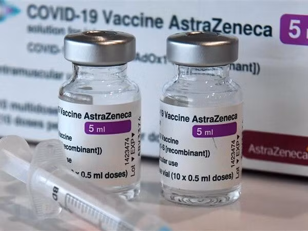  Germany to aid Vietnam with 2.5 million doses of Astra Zeneca vaccine ảnh 1