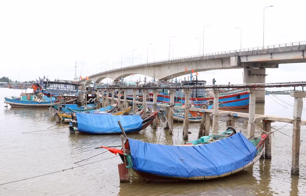 Official requests directing vessels to avoid upcoming typhoon ảnh 1