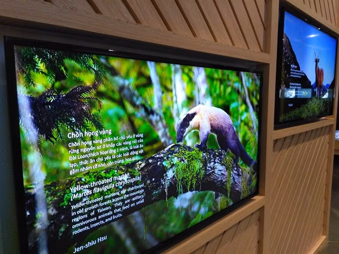  Exhibition shows biodiversity of Vietnam, Taiwan ảnh 1