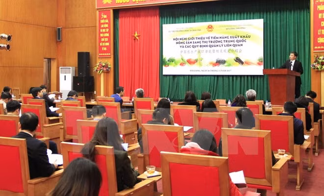 Vietnamese farm exports have big potential in China ảnh 1