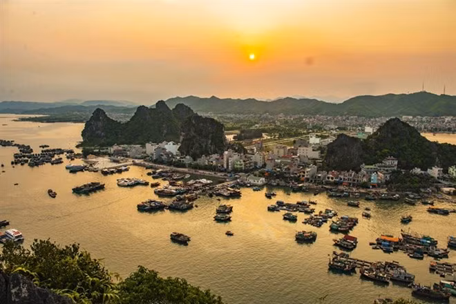 Vietnam to grant e-visas to citizens of six more nations ảnh 1