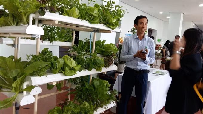 Da Nang calls for hi-tech farms ảnh 1