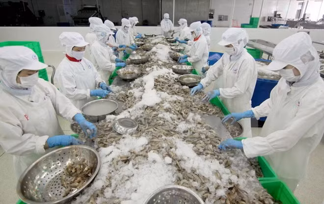 Vegetable, aquatic exports to gain most from TPP: expert ảnh 1