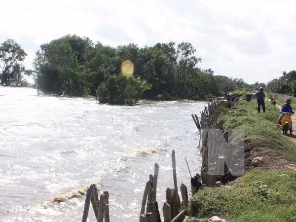 Mekong Delta seeks to help vulnerable groups adapt to climate change ảnh 1