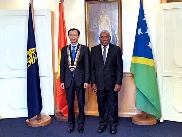 Solomon Islands hopes for closer ties with Vietnam ảnh 1