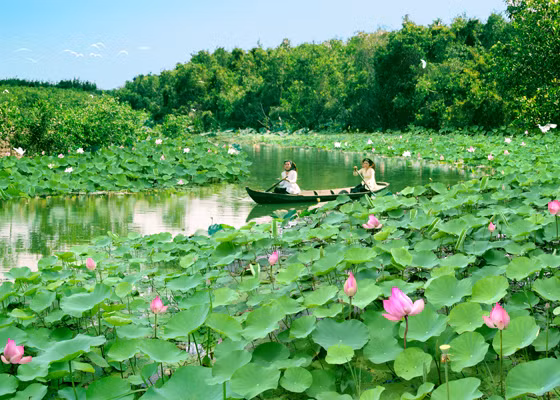 Dong Thap appeals to tourists with environmentally-friendly tourism ảnh 1