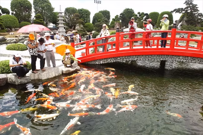 HCM City boosts tourism cooperation with Japanese region ảnh 1