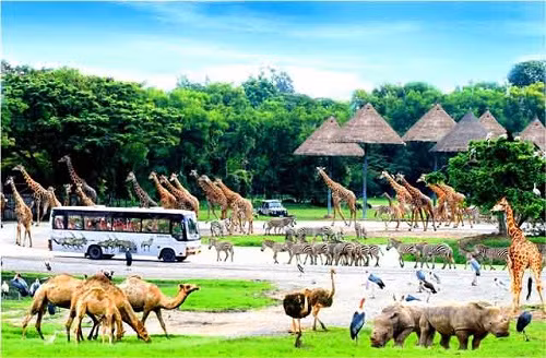 Phu Quoc to have first wild animal conservation park ảnh 1