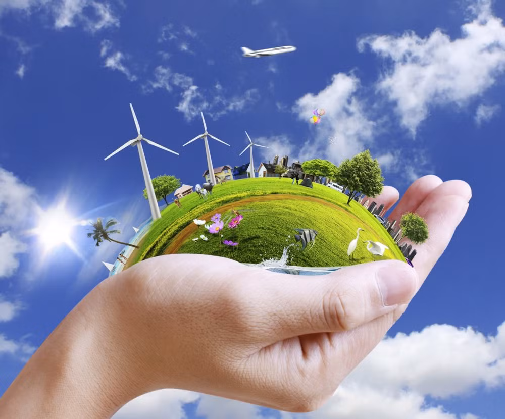 Vietnam, Germany boost cooperation in natural resources, environment ảnh 1