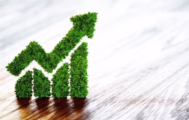 Annual sustainable development reports are a necessity ảnh 1