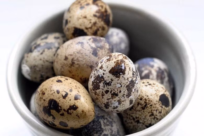 Singapore suspends quail egg imports from Malaysia ảnh 1