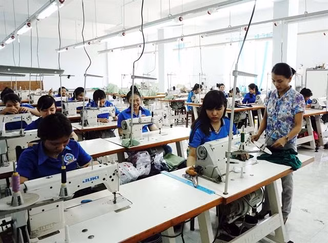 Cooperation in vocational training remains loose ảnh 1