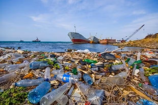 Role of science-technology in plastic waste management discussed ảnh 1