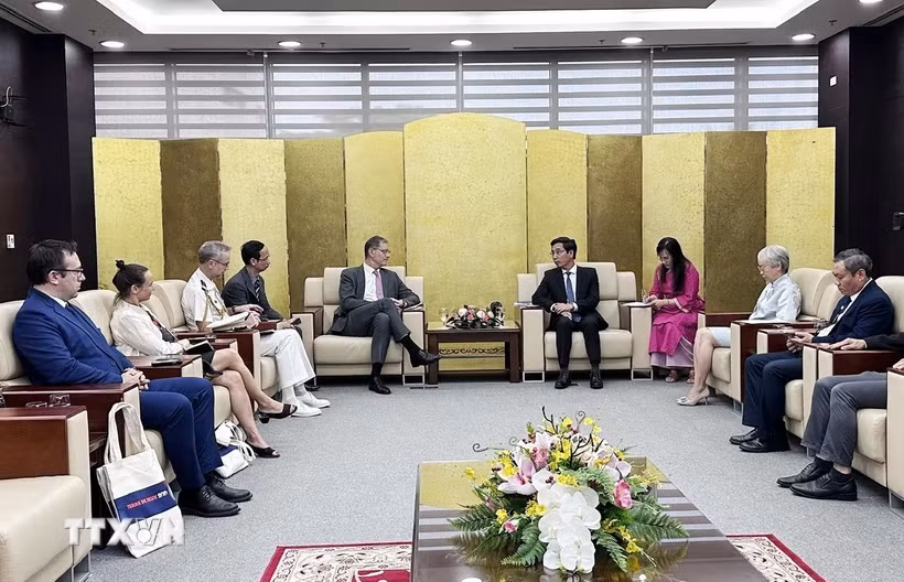Da Nang seeks cooperation with French partners ảnh 1
