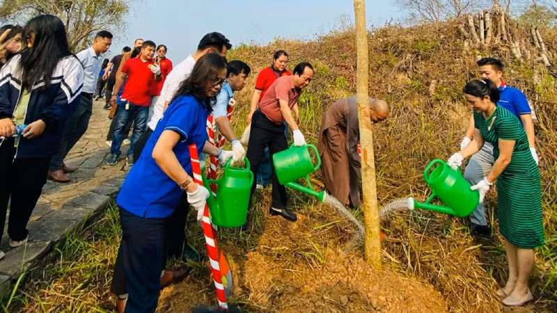 Up to 1,000 ban flowers planted at Dien Bien Phu battlefield relic sites ảnh 1