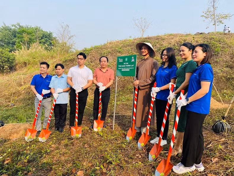 Up to 1,000 ban flowers planted at Dien Bien Phu battlefield relic sites ảnh 2