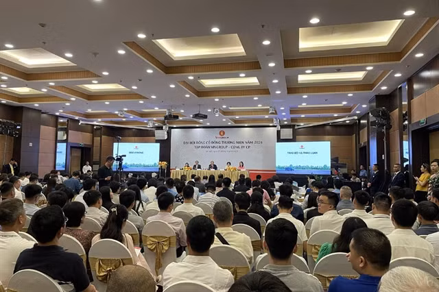 Vingroup approves 2024 business plan, to list Vinpearl on market ảnh 1