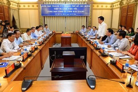 HCM City, Hau Giang look to joint initiatives ảnh 1