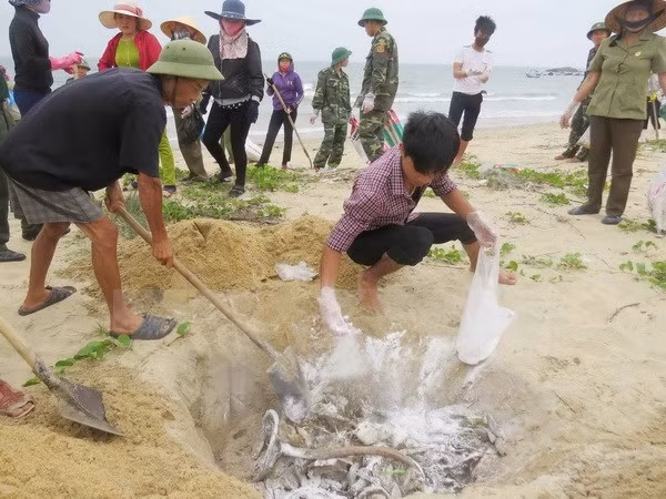 Urgent assistance for affected farmers following unusual fish death ảnh 1