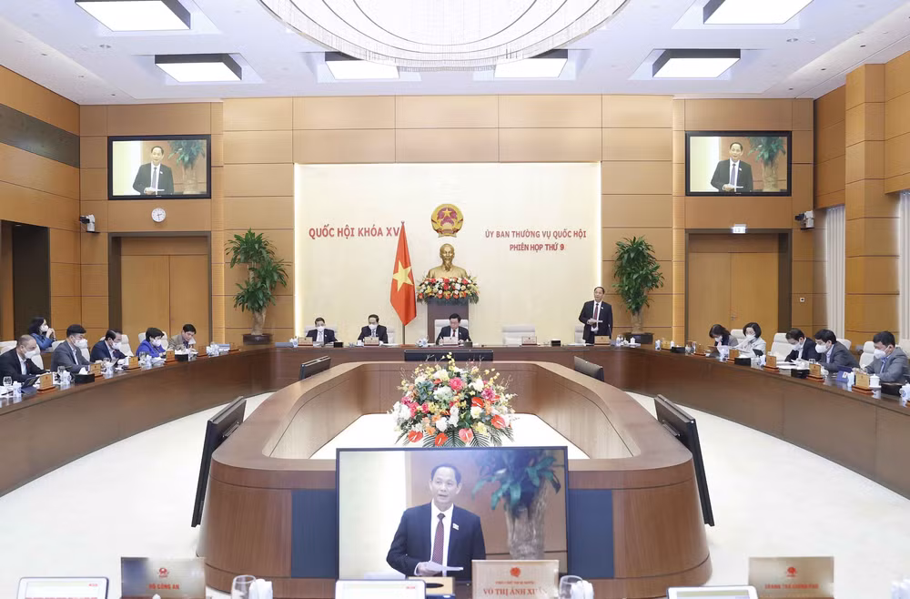 NA Standing Committee emphasises improving quality of complaint settlement ảnh 1