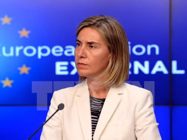 Deputy PM meets EU official in Mongolia ảnh 1