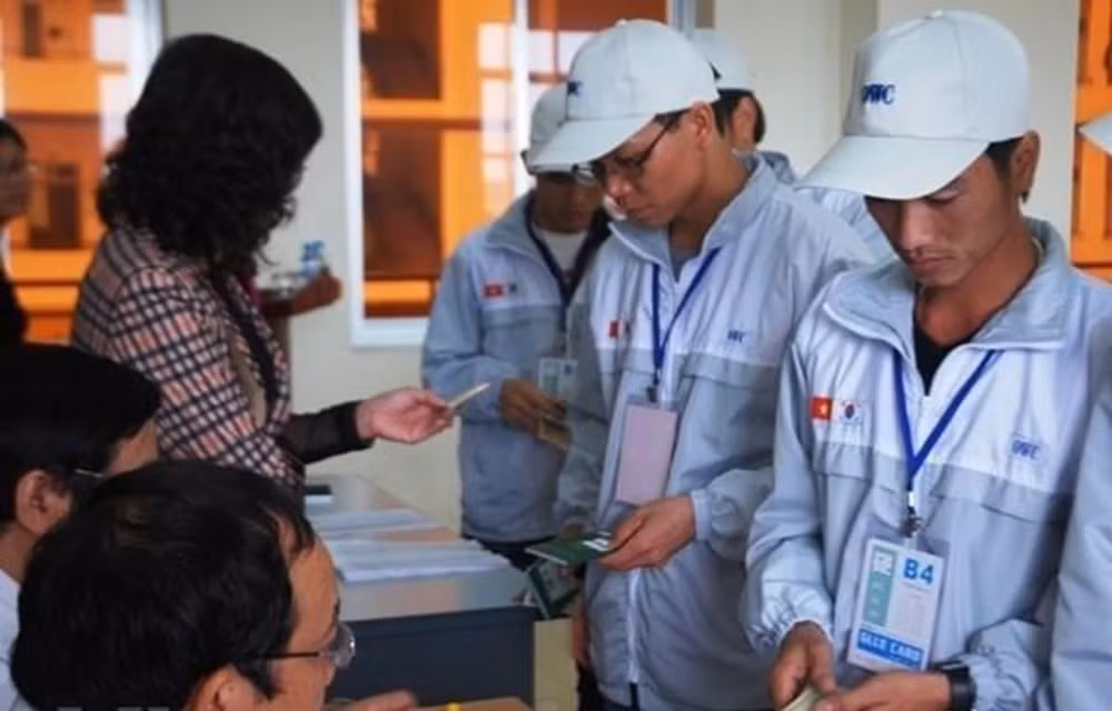 Guideline training crucial to overseas worker safety ảnh 1