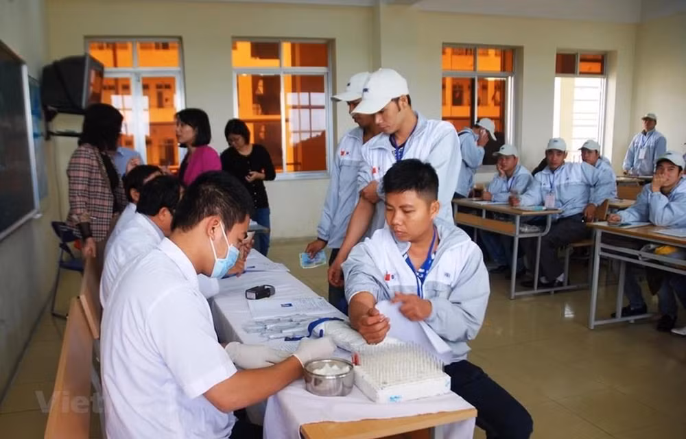 Vietnamese workers receive one-year extension of stay in RoK ảnh 1 Vietnamese workers receive one-year extension of stay in RoK ảnh 1