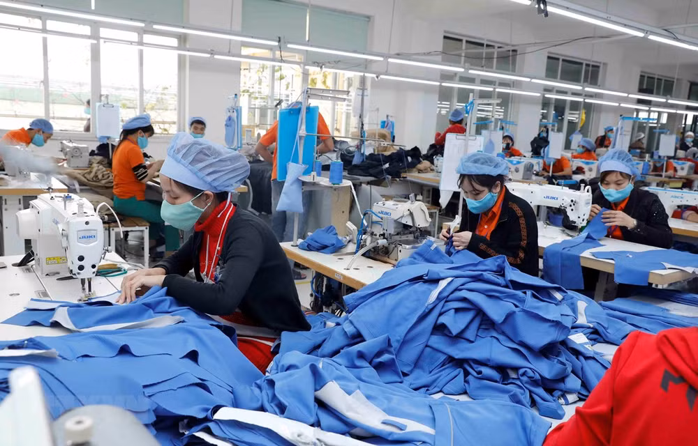 Garment export turnover target of 39 billion USD reachable: Official ảnh 1