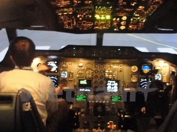 PM issues order to ensure flight safety ảnh 1