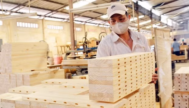 Wood exports to hit 11.5 billion USD, exceeding target in 2019 ảnh 1
