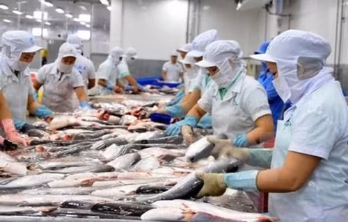 Vietnam’s foreign trade to exceed 500 billion USD in 2019 ảnh 1 Vietnam’s foreign trade to exceed 500 billion USD in 2019 ảnh 1