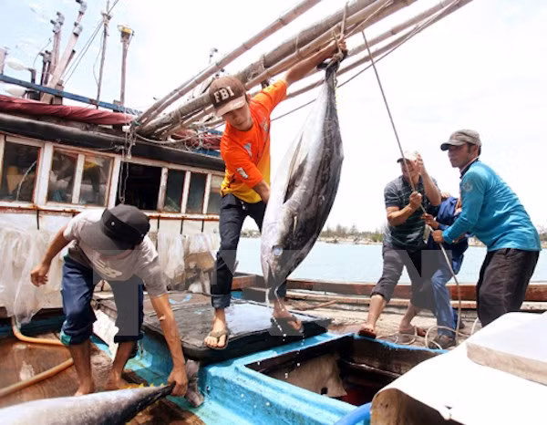 Vietnam, Thailand implement agreement on labour import-export ảnh 1