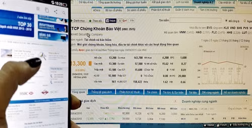 Stock markets rebound with high investor confidence ảnh 1