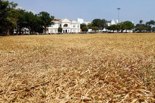 Malaysia continues school closure due to heat wave ảnh 1