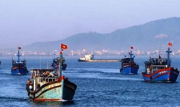 Coastal localities take stronger measures against IUU fishing ảnh 1