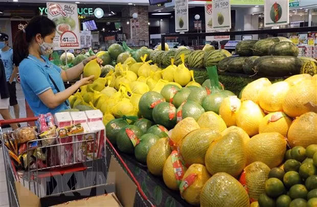 WB lowers Vietnam’s GDP growth forecast to 2-2.5 percent this year ảnh 1