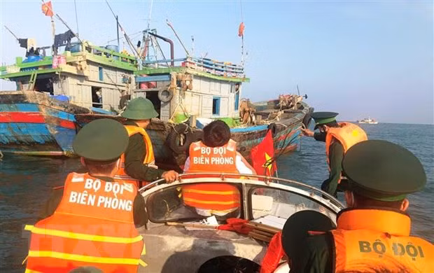 Fishery sector committed to combating IUU fishing ảnh 1