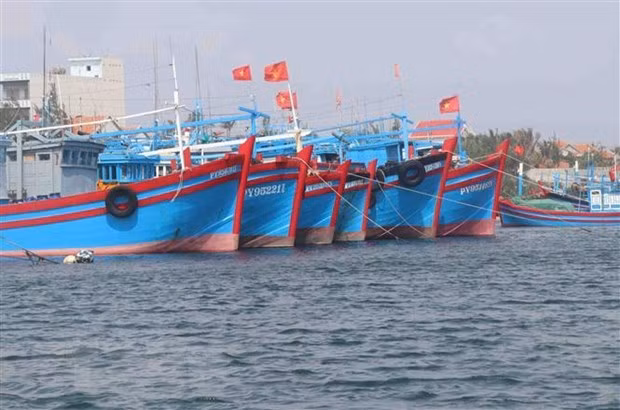 Vietnam works towards responsible, sustainable fishery sector ảnh 1 Vietnam works towards responsible, sustainable fishery sector ảnh 1