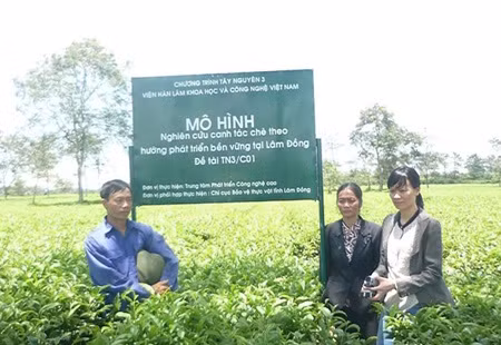 High-tech production needed in farming ảnh 1