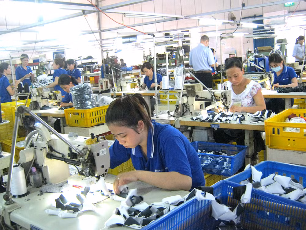 Mekong Delta provinces attract more foreign investment ảnh 1 Mekong Delta provinces attract more foreign investment ảnh 1