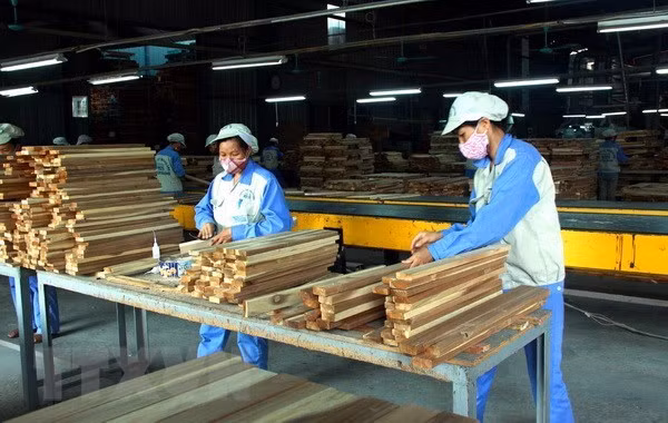 Forestry sector in 5.72 billion USD trade surplus ảnh 1