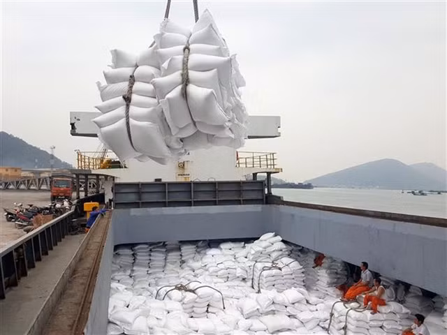 Vietnam earns 362 million USD from rice exports in April ảnh 1 Vietnam earns 362 million USD from rice exports in April ảnh 1